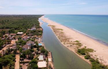 A VENDRE au Sénégal à Mbodiene : Ferme 3 hectares 300 mètres des plages possibilité projet hôtelier