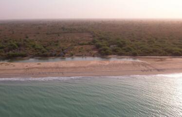 A VENDRE au Sénégal à Mbodiene : Ferme 3 hectares 300 mètres des plages possibilité projet hôtelier