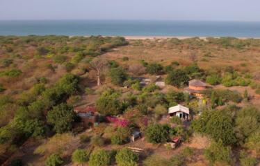 A VENDRE au Sénégal à Mbodiene : Ferme 3 hectares 300 mètres des plages possibilité projet hôtelier