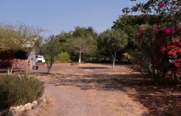 A VENDRE au Sénégal à Mbodiene : Ferme 3 hectares 300 mètres des plages possibilité projet hôtelier