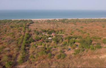 A VENDRE au Sénégal à Mbodiene : Ferme 3 hectares 300 mètres des plages possibilité projet hôtelier